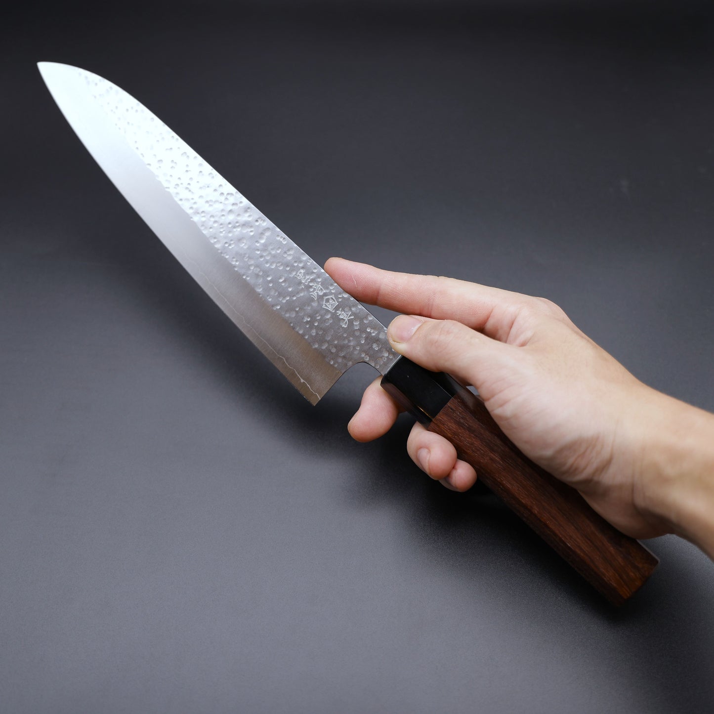 VG10(Kurosaki Makoto)Gyuto 210mm