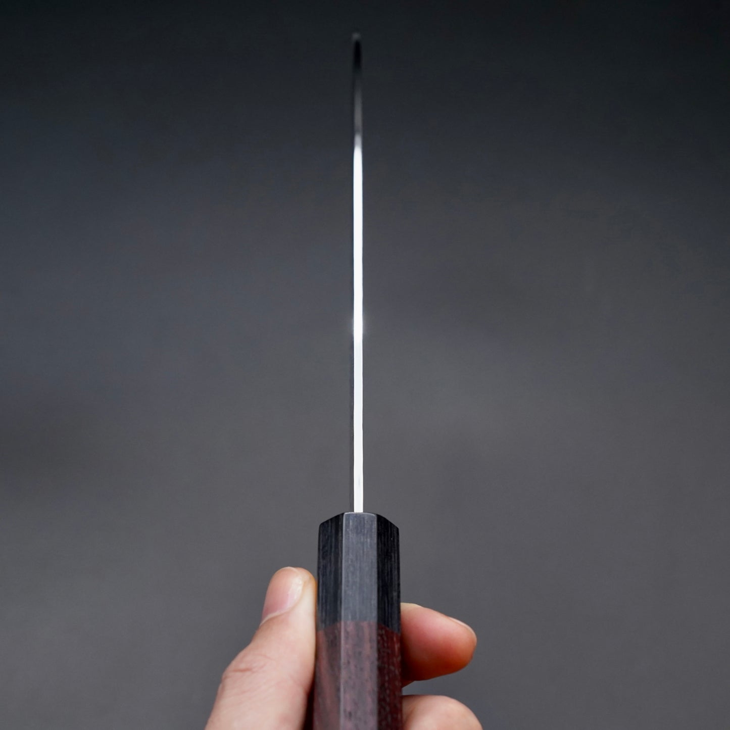 VG10(Kurosaki Makoto)Gyuto 240mm